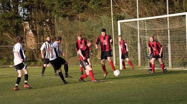 篮协发布声明：严厉打击针对女篮教练员和运动员的AI造谣行为