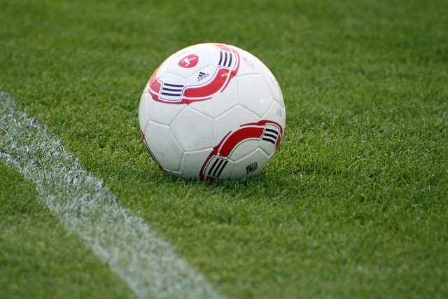 青少年游泳 青少年游泳