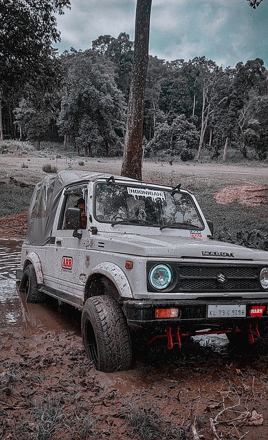 独行侠新星 独行侠新星