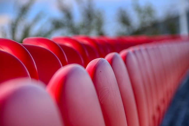 一個鮮活的 一個鮮活的