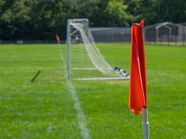 相互学习 相互学习